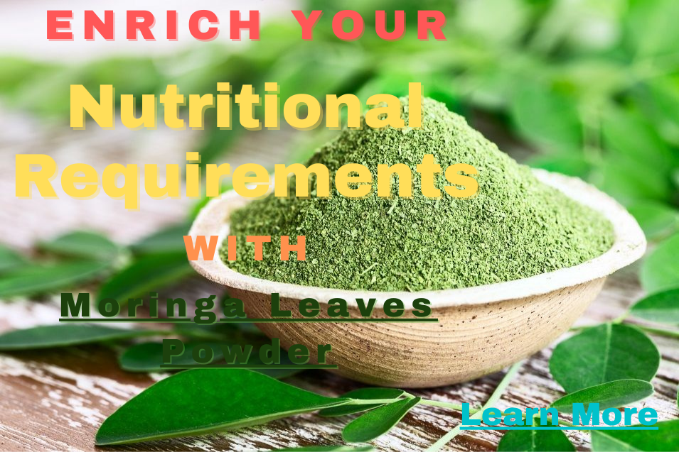 Moringa Leaf Powder - 1 lb bag (Raw, Organic)