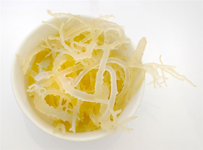Raw Irish Moss (Sea Moss) 8oz - Wild Harvested, Sun Dried, Raw