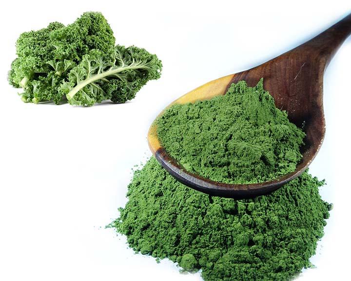 Kale Powder, Premium Quality - (Raw, Organic, Kosher)