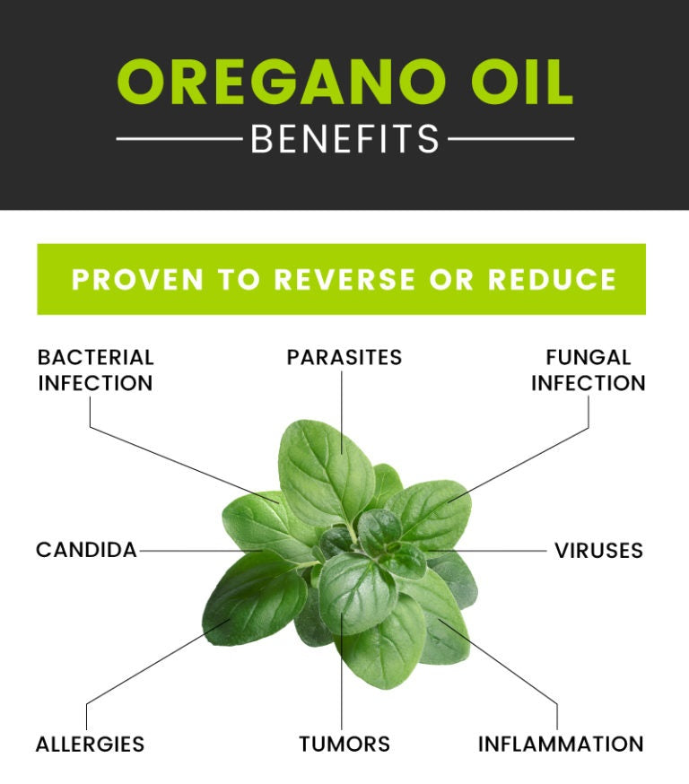 Oregano Essential Oil - High Potency