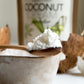 Cacao Powder: Raw, Heirloom + Organic