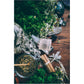 Palo Santo, Protection Myst - Wildcrafted Hydrosol (Plant Flower)